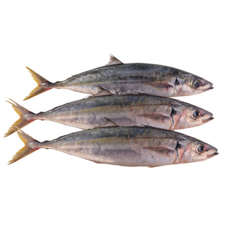 Kampung Fish 甘榜鱼 (5 pcs) 450g+