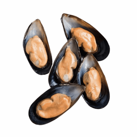 Black Mussel (Full Shell) (907gm)