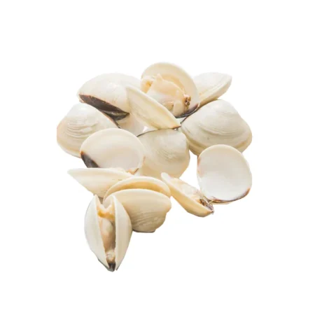White Clam (1kg) Kepah